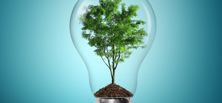 Greentech : de brillantes idées initiées par des start-up
