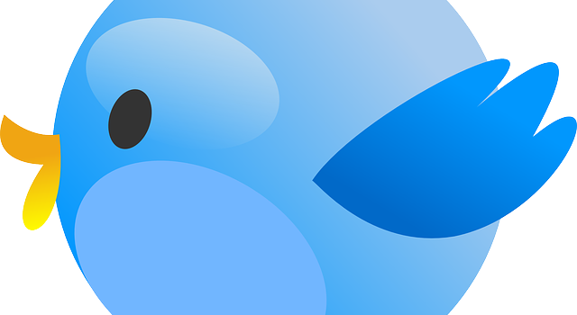 Téléporter son service-client sur Twitter